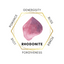 2cm Gemstone Mushroom - Rhodonite