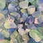 Gemstone Rough 100g - Blue/Purple Fluorite