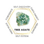 Gemstone Chips 100g - Tree Agate