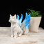 Blue 9 Tail Fox Sphere Stand