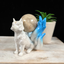 Blue 9 Tail Fox Sphere Stand