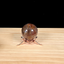 Small Rose Gold Dragonfly Metal Sphere Stand