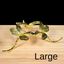 Large Gold Dragonfly Metal Sphere Stand
