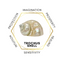 6mm Trochus Shell Gemstone Bracelet