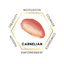 Carnelian 75cm-80cm Chips Strand