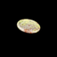 Dragonblood Jasper Oval Shape Worry Stone (Thumb Stone)