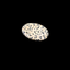 Dalmatian Jasper Oval Shape Worry Stone (Thumb Stone)