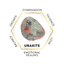 4cm Gemstone Mushroom - Unakite