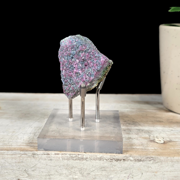 Silver Specimen Stand