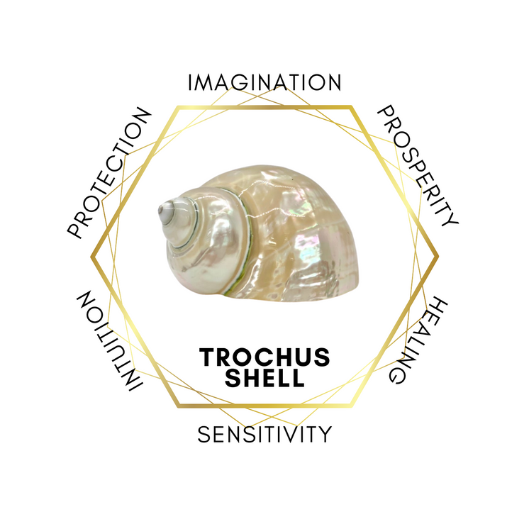 6mm Trochus Shell Gemstone Bracelet