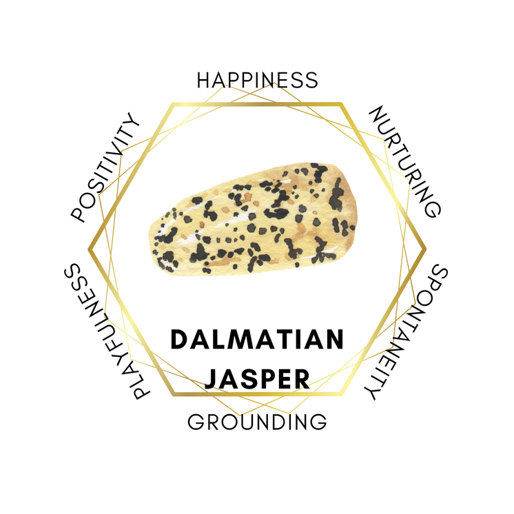 4cm Gemstone Mushroom - Dalmatian Jasper