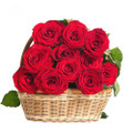 10 Red Ecuadorian Roses Basket