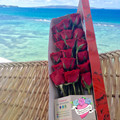 Red Roses Gift Box