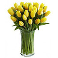 20 Yellow Tulips Bouquet
