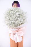 White Baby's Breath Million Star Giant Bouquet