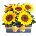 Sunflowers Box