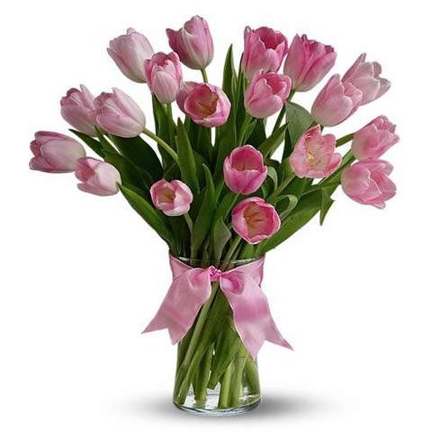20 Pink Tulips Bouquet