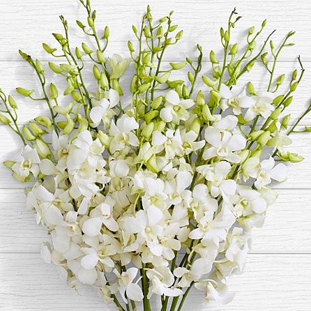 Grand White Orchids Bouquet