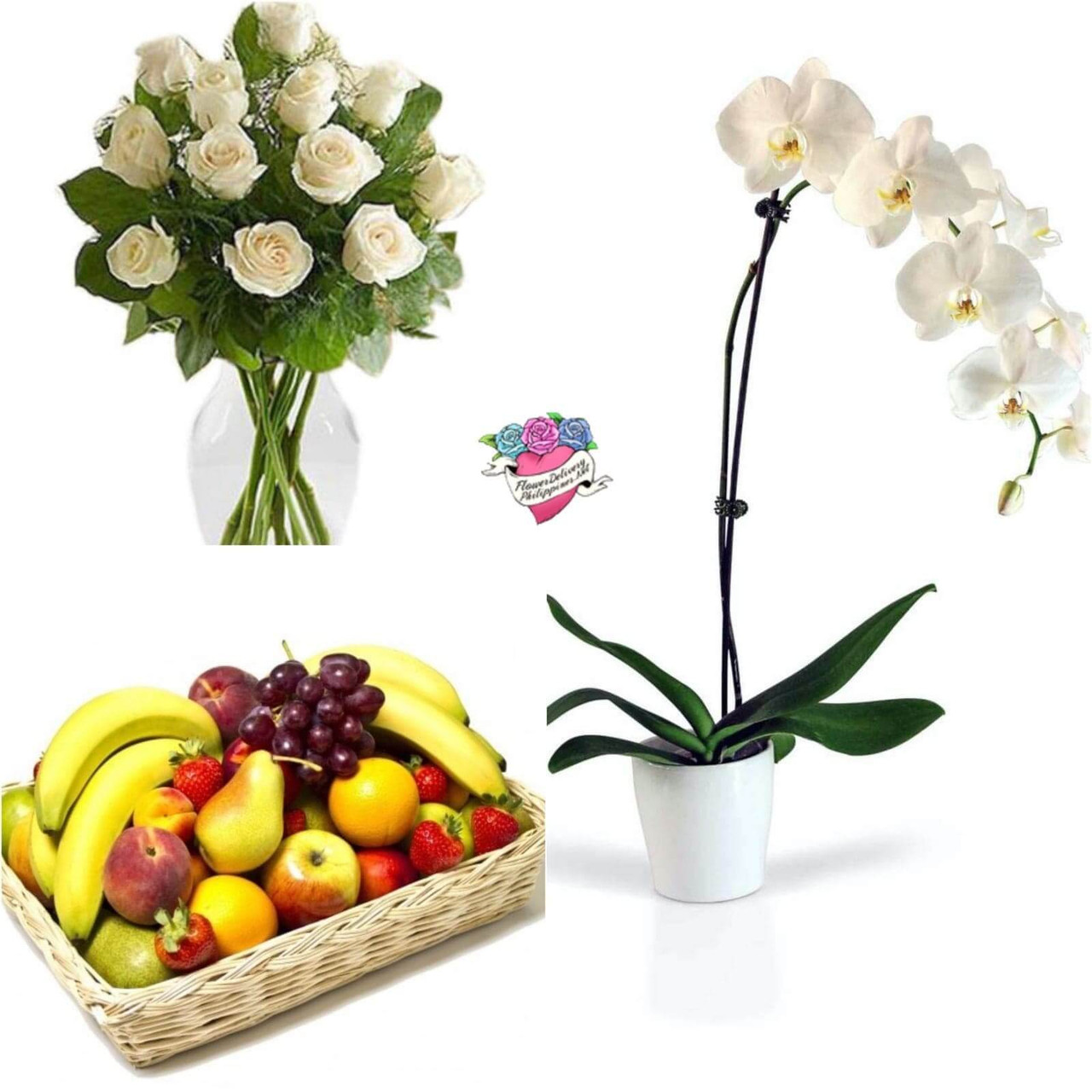 Appreciation Orchid Package