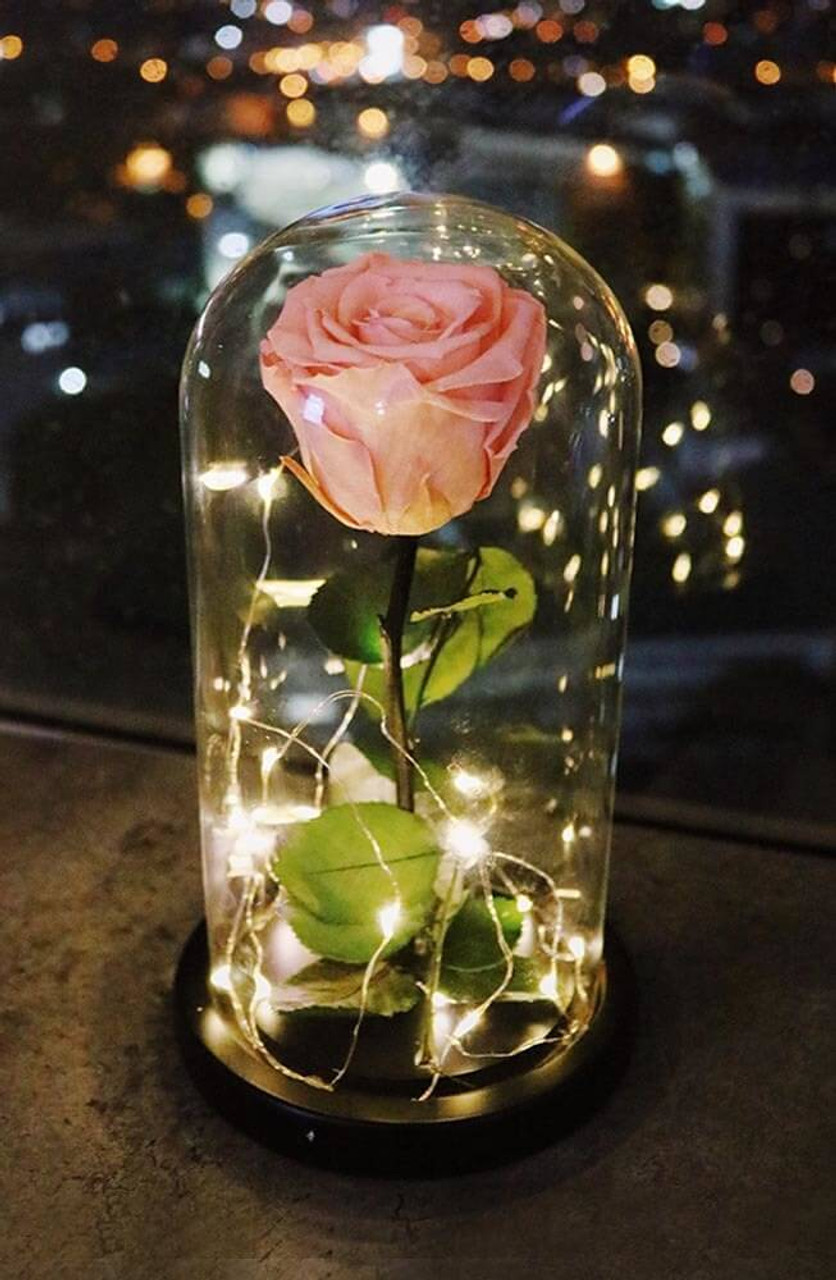 Pink Preserved Rose Fairy Lights Dome