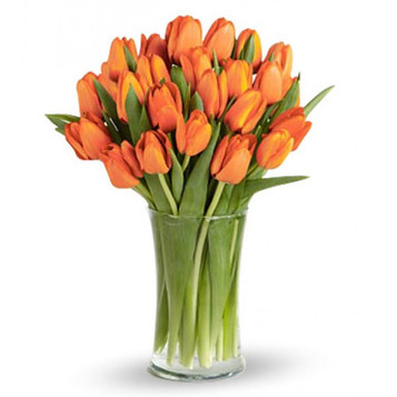 20 Orange Tulips Bouquet 20 Orange Tulips Bouquet