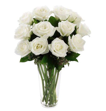 12 White Ecuadorian Roses 12 White Ecuadorian Roses