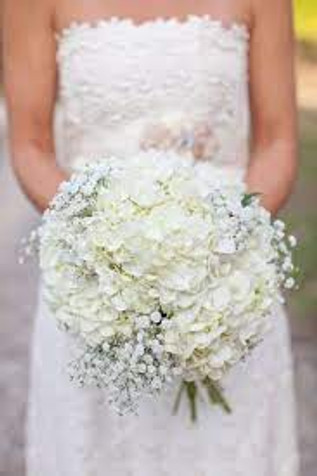 White Hydrangeas Bridal Bouquet White Hydrangeas Bridal Bouquet