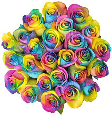 24 Rainbow Ecuadorian Roses 24 Rainbow Ecuadorian Roses