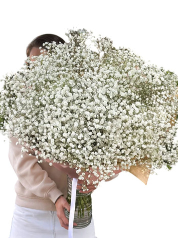 White Baby's Breath Million Star Giant Bouquet