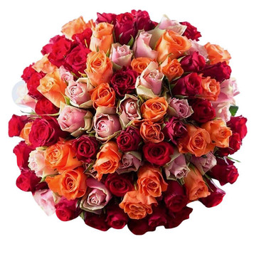 50 assorted Ecuadorian Roses Giant Bouquet 50 assorted Ecuadorian Roses Giant Bouquet