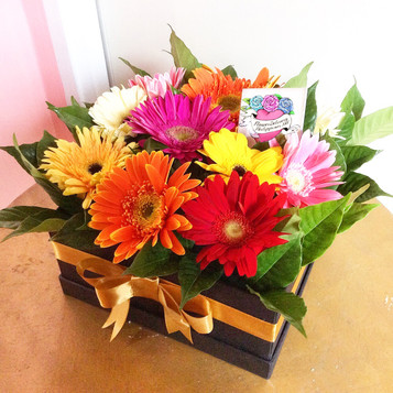 Rainbow Gerbera Daisies Box