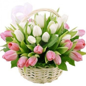 Holland Tulips Gift Basket Holland Tulips Gift Basket