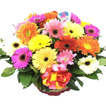 Rainbow of Daisies Basket Rainbow of Daisies Basket