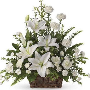 Carnations & Casablanca Lilies Basket Carnations & Casablanca Lilies Basket