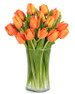10 Orange Tulips