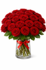 24 Red Ecuadorian Roses