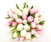 20 Pink & White Tulips