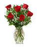 6 Red Ecuadorian Roses Bouquet 6 Red Ecuadorian Roses Bouquet