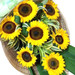 7 Sunflower Bouquet