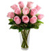 Pink Ecuadorian Roses Pink Ecuadorian Roses
