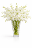 Grand White Orchids Bouquet