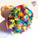 12 Rainbow Ecuadorian Roses