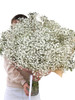 White Baby's Breath Million Star Giant Bouquet White Baby's Breath Million Star Giant Bouquet