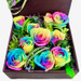 10 Rainbow Ecuadorian Roses Box