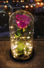 Violet Preserved Rose Fairy Lights Dome - BEST SELLER! Violet Preserved Rose Fairy Lights Dome - BEST SELLER!