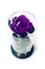 Violet Preserved Rose Fairy Lights Dome - BEST SELLER! Violet Preserved Rose Fairy Lights Dome - BEST SELLER!