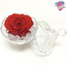 Eternal Red Rose Eternal Red Rose