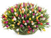 Rainbow of Tulips Basket (30-100) Rainbow of Tulips Basket (30-100)