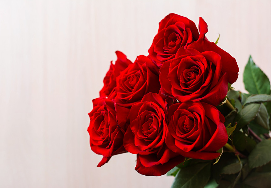 Ecuadorian Roses: A Timeless Symbol of Love and Elegance