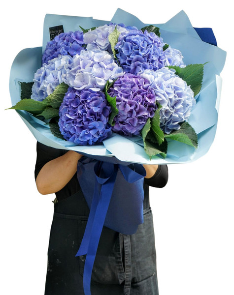 Hydrangeas Bouquet Delivery